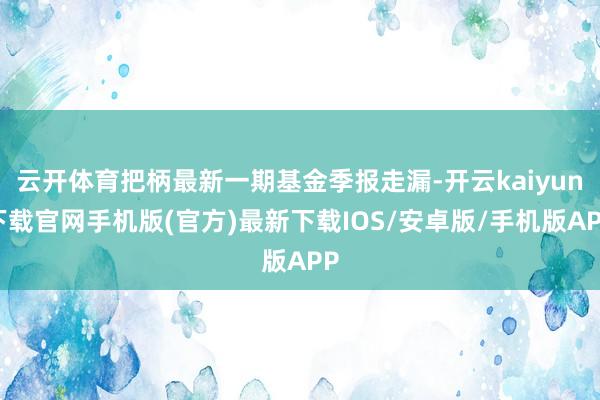 云开体育把柄最新一期基金季报走漏-开云kaiyun下载官网手机版(官方)最新下载IOS/安卓版/手机版APP