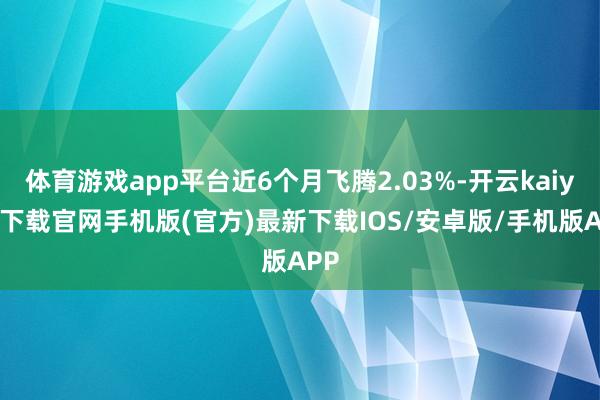 体育游戏app平台近6个月飞腾2.03%-开云kaiyun下载官网手机版(官方)最新下载IOS/安卓版/手机版APP