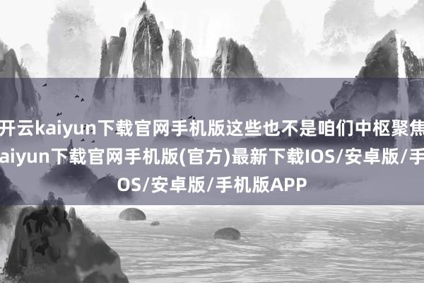 开云kaiyun下载官网手机版这些也不是咱们中枢聚焦的-开云kaiyun下载官网手机版(官方)最新下载IOS/安卓版/手机版APP